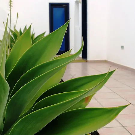 Puerto Rubicon Βίλα *